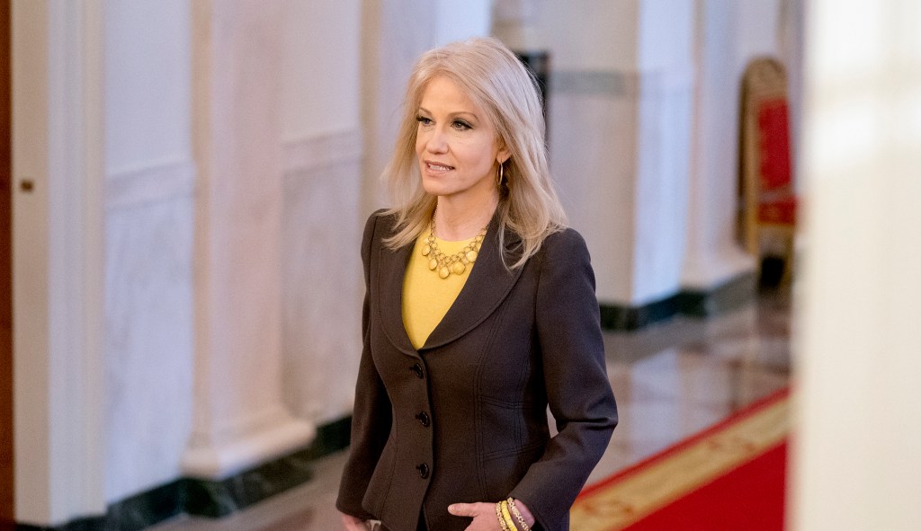 Fox News host cuts off Kellyanne Conway when she attacks de Blasio