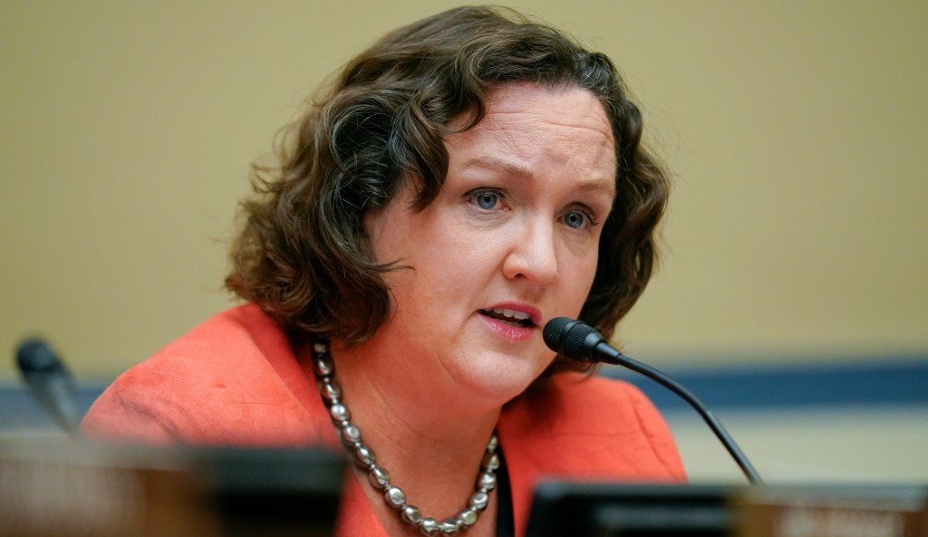 Katie Porter thinks she is better for diversity than black women