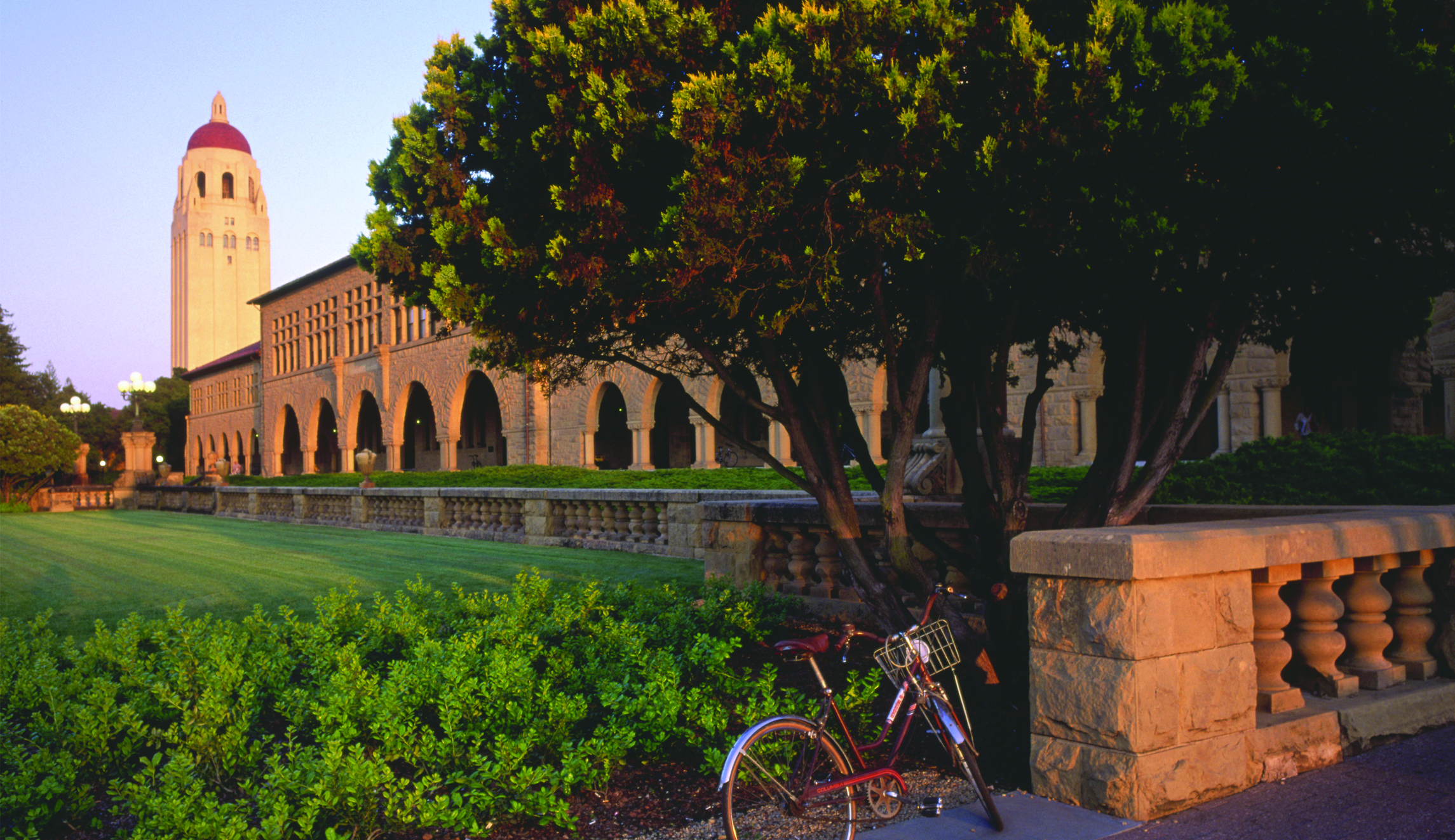 Party like a hipster Cambo