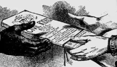 What the Constitution says