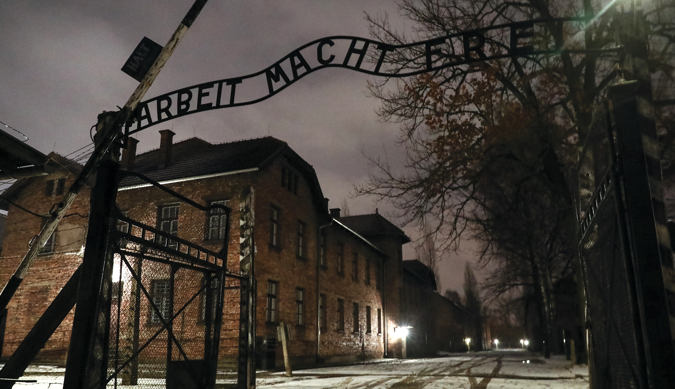 Escaping Auschwitz