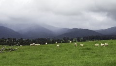 Suffering for beauty in Lapvona