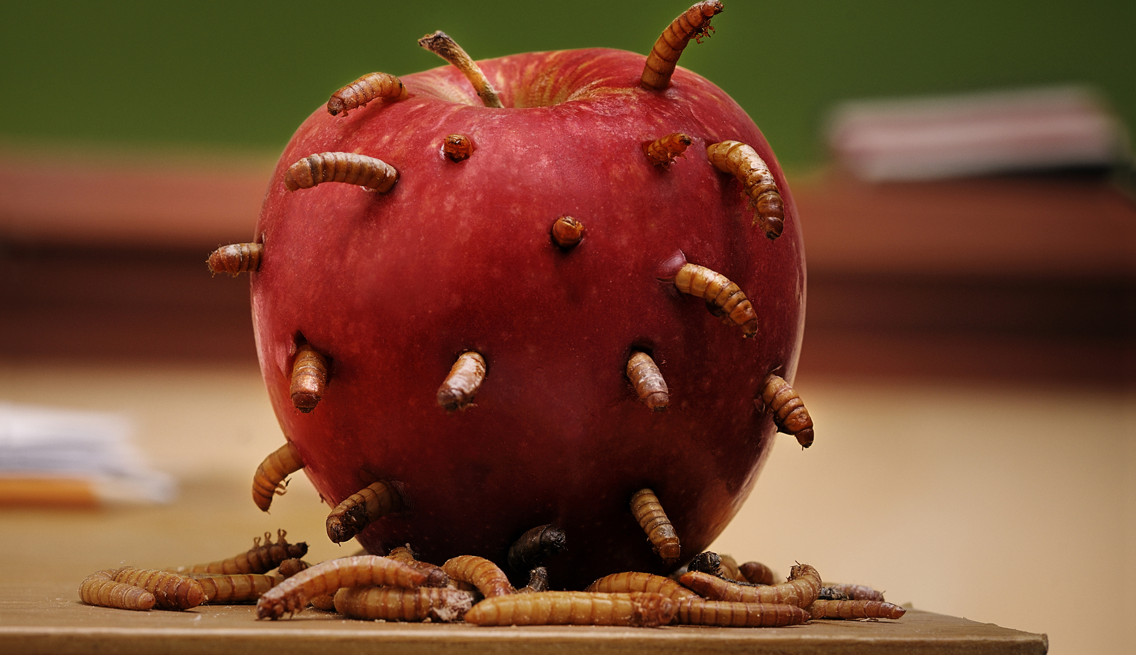 A truly thoughtful approach to fixing our schools