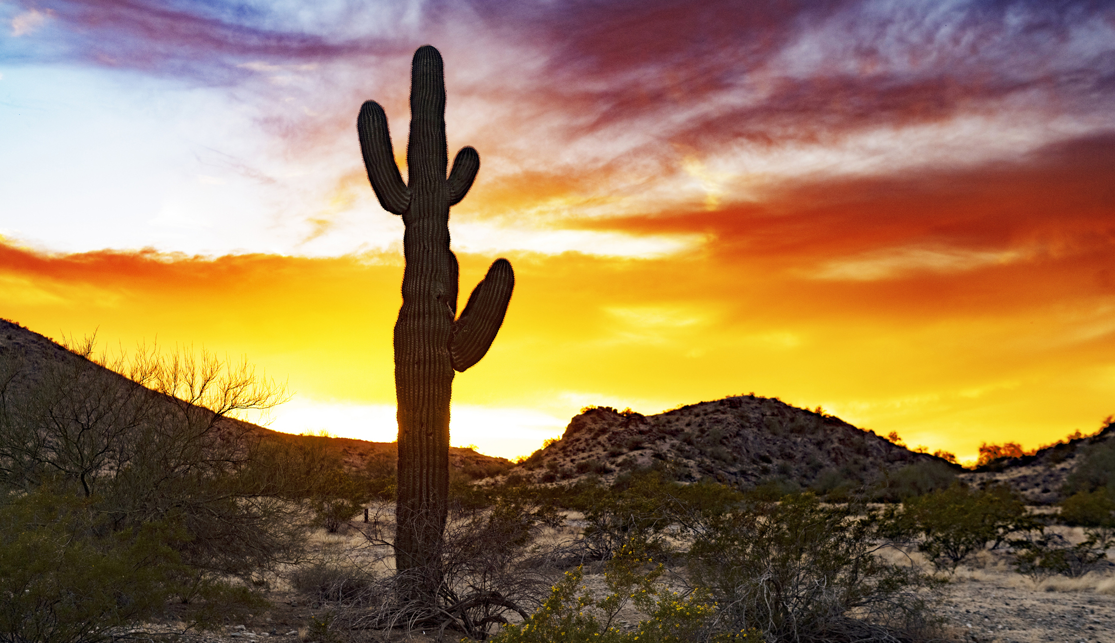 Melissa Broder brings the magic spark back to the millennial novel