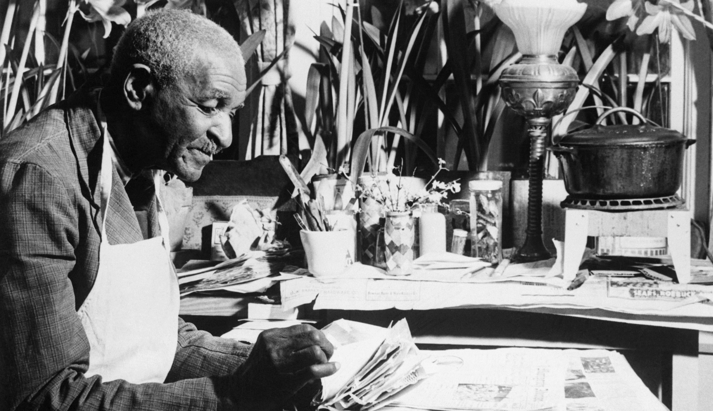 George Washington Carver for adults