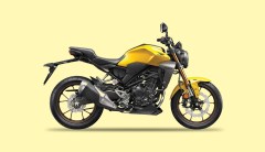 Born to be mild: As the motorbikes go, so goes the culture