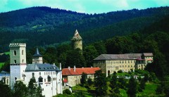 Czech your privilege