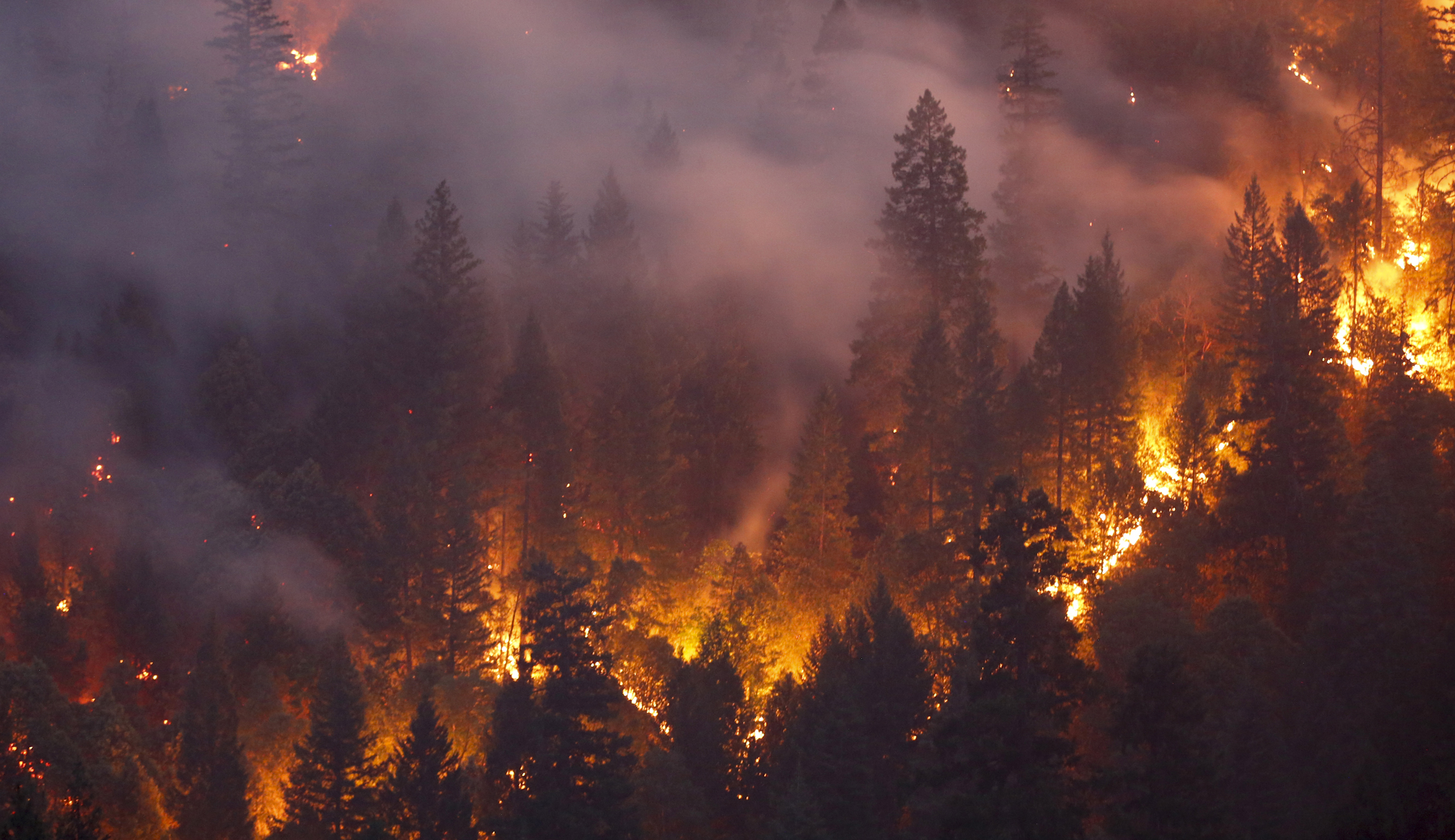 Out of the fire