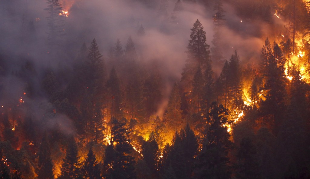 Out of the fire