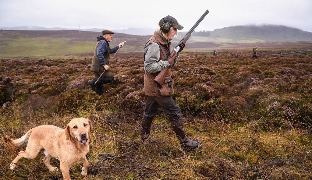 Something better to do in Scotland