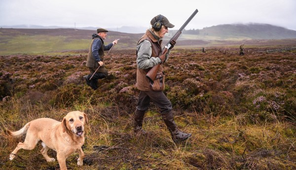 Something better to do in Scotland