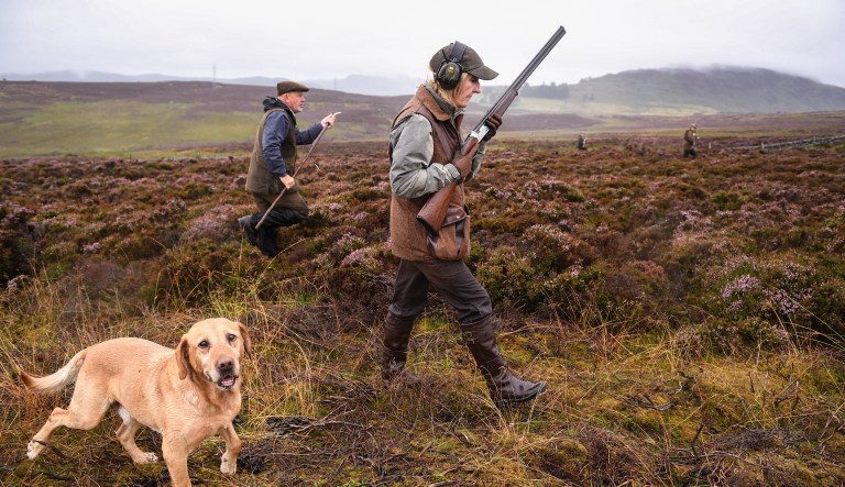 Something better to do in Scotland