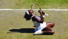Serena for dummies