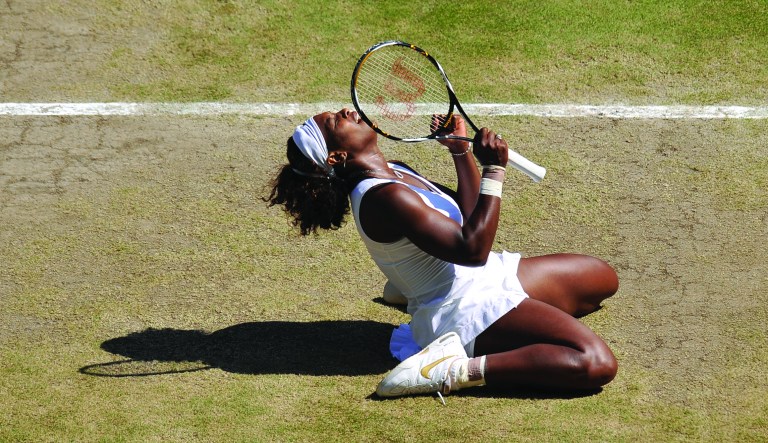 Serena for dummies