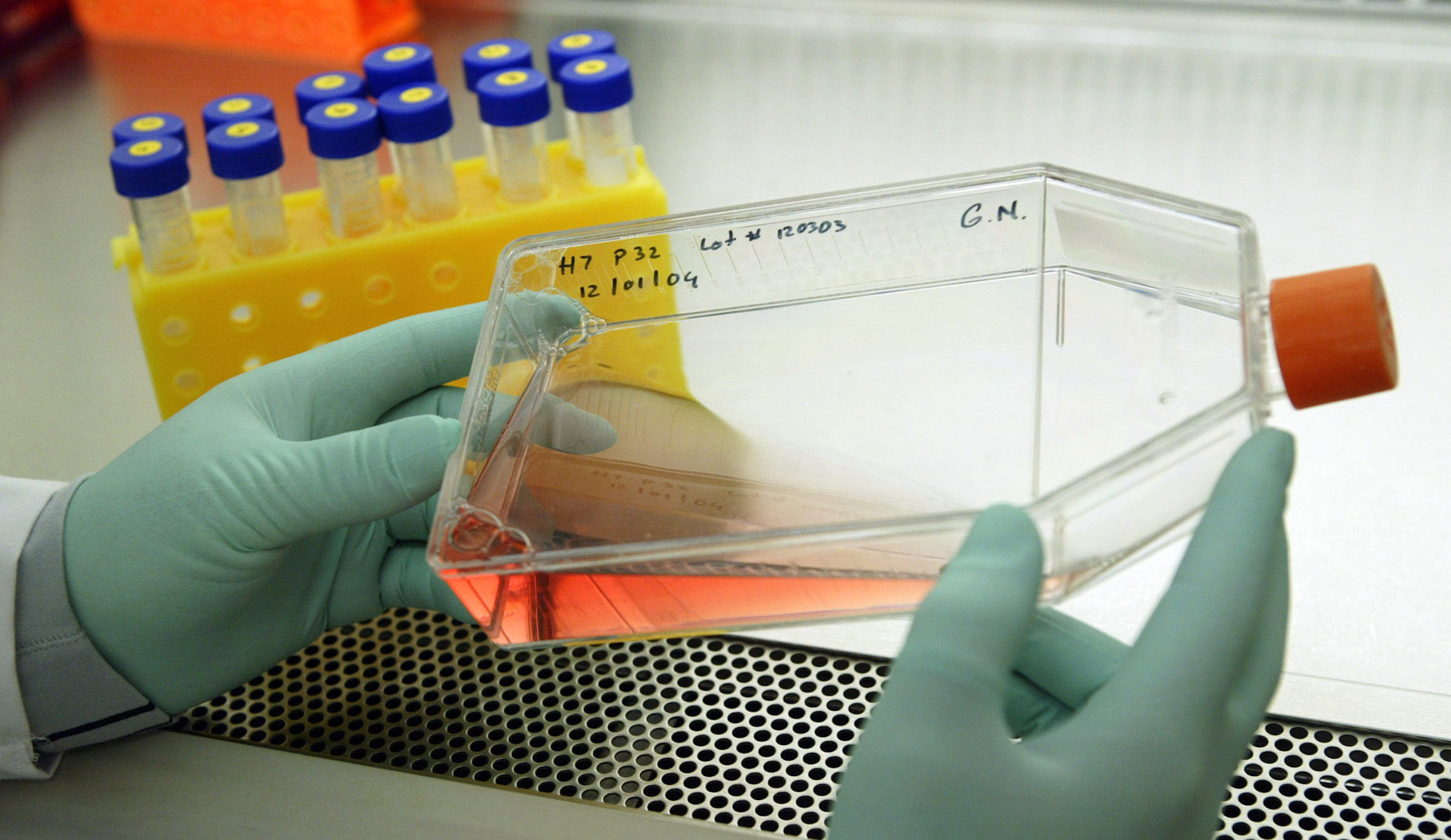 Defund grotesque taxpayer-funded human fetal tissue experiments on lab animals