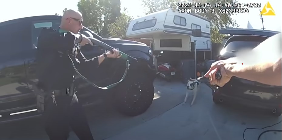 LAPD releases body camera footage of nonlethal shooting of dog