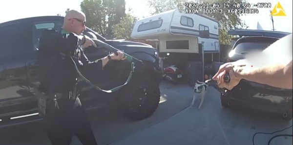 LAPD releases body camera footage of nonlethal shooting of dog