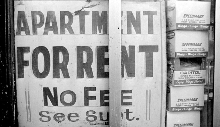 All the sad young termites