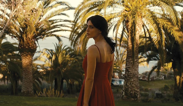 The Whistlers is a beautiful, befuddling neo-noir