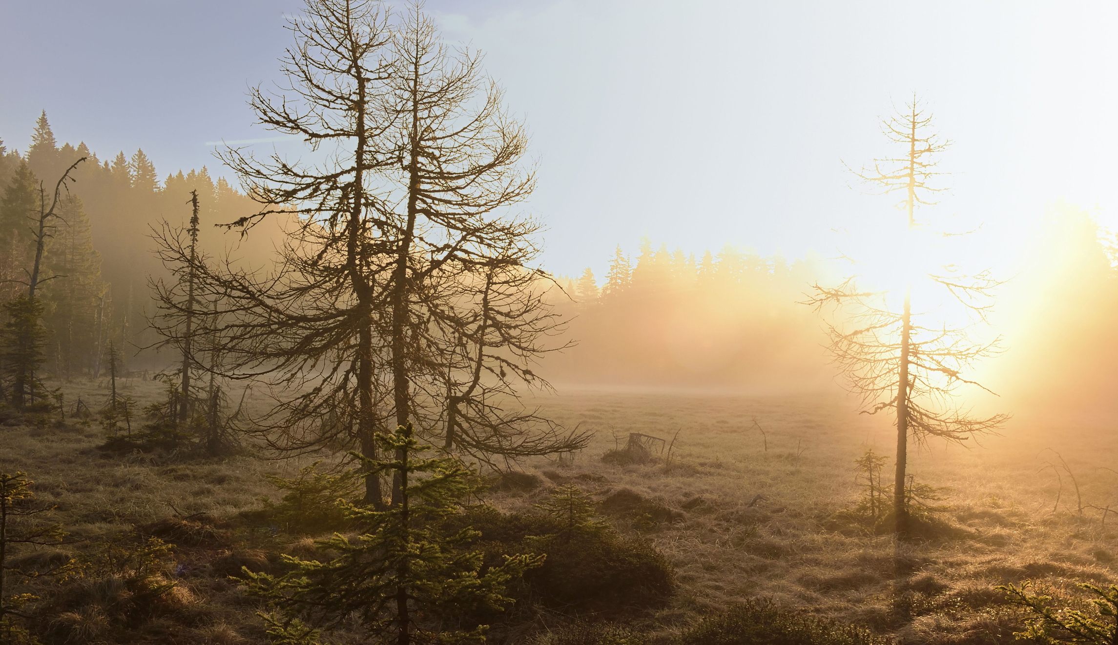 I’m ready for the peat bog