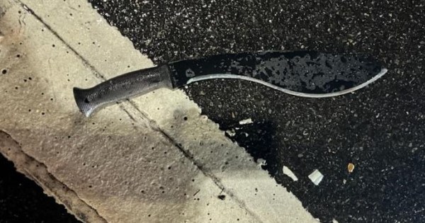 NYC college professor with violent history holds machete to reporter’s throat