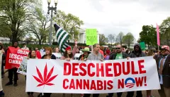 White House ‘drug czar’ office reportedly runs secret anti-marijuana committee