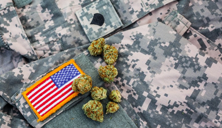 Cannabis flower on top of ACU style military uniform with a American Flag patch and copy space.