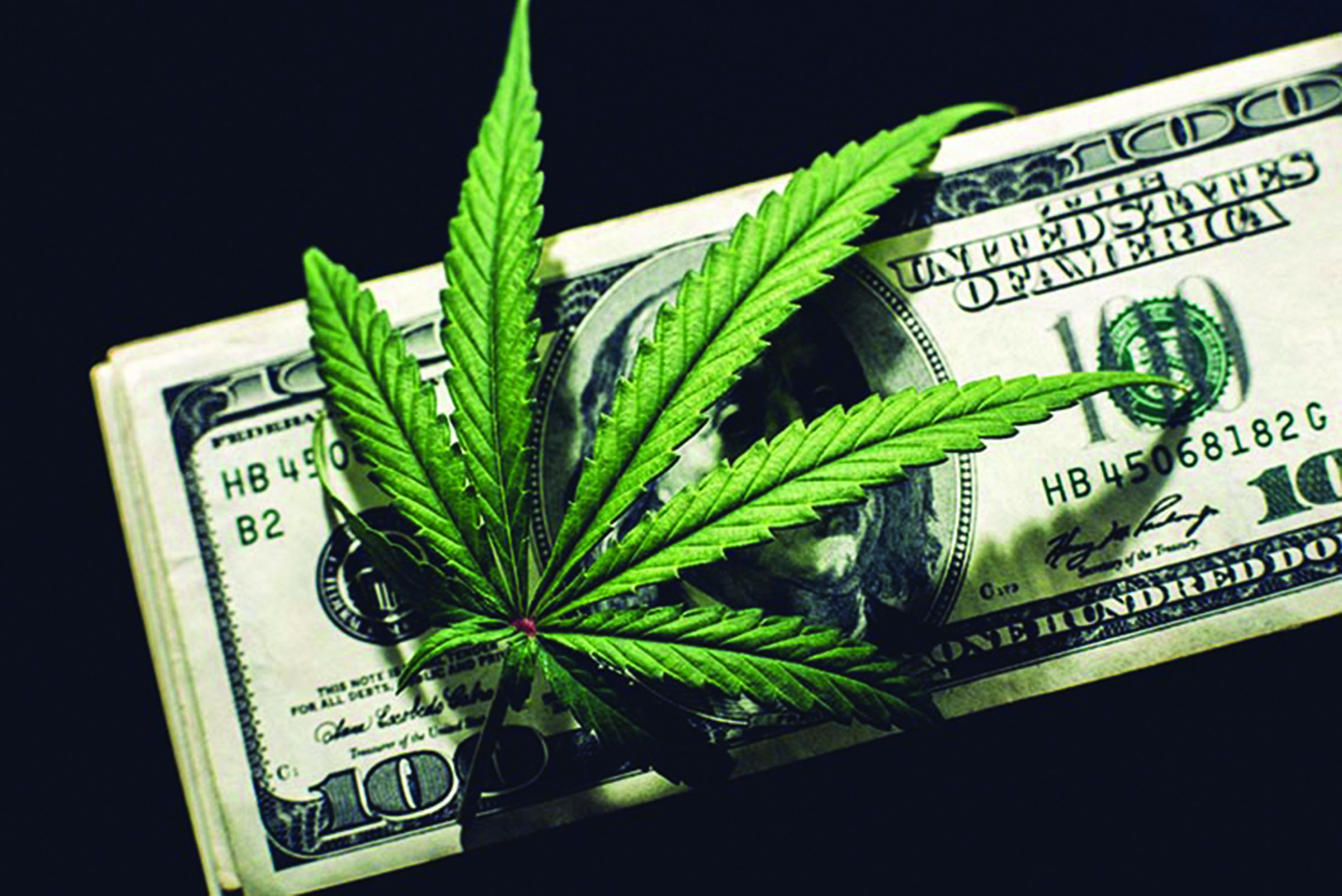 Time to cut the red tape on banks doing business with marijuana?