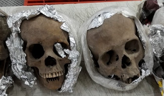 Mexican authorities find four human skulls being shipped to South Carolina