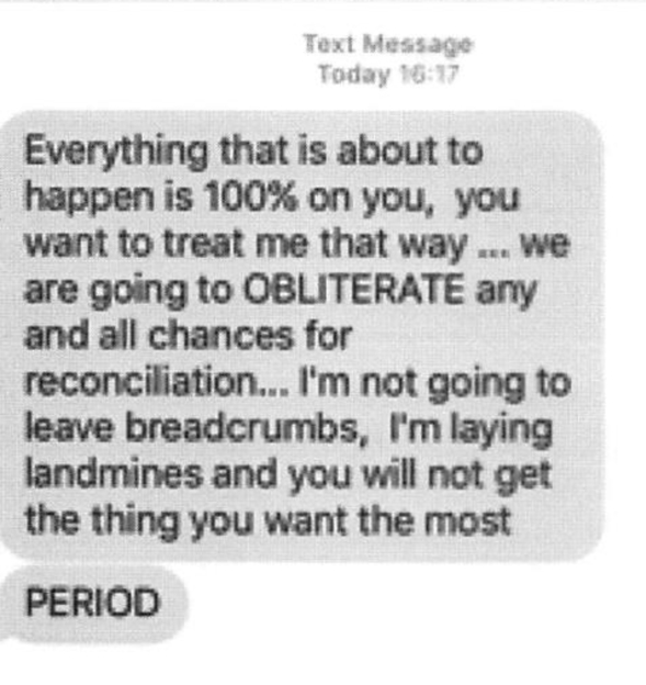 Meyer text 4.jpg