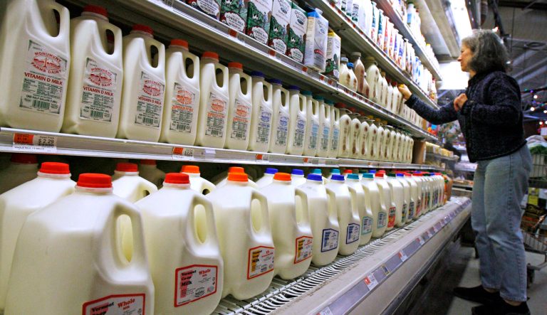 FILE - In this Feb. 11, 2009, file photo, a shopper looks over the milk aisle at the Hunger Mountain Co-op in Montpelier, Vt. U.S. Reps. Peter Welch, D-Vt., and Mike Simpson, R-Idaho, and other members of Congress are pushing in December 2016 for the Food and Drug Administration to enforce a definition of milk that would not include non-dairy products like soy or almonds.