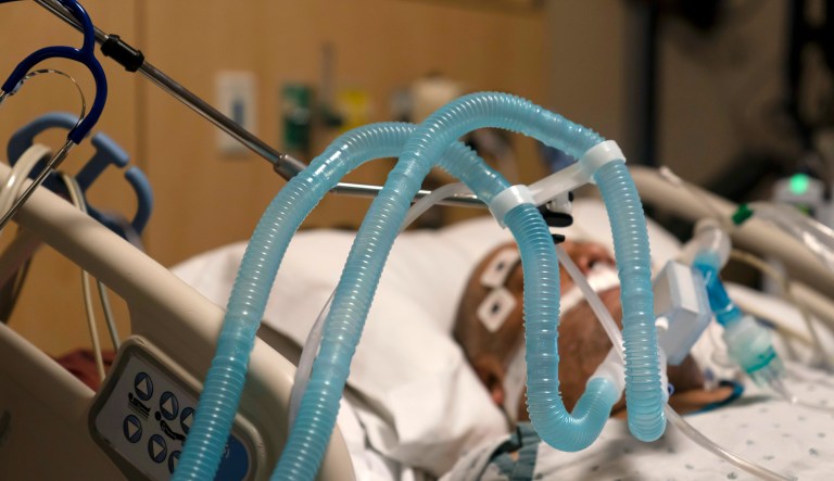 900,000 excess deaths expected over next 15 years from pandemic rise in unemployment