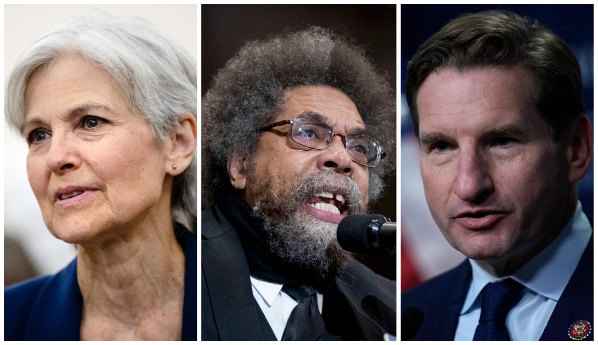 Biden challengers 2024