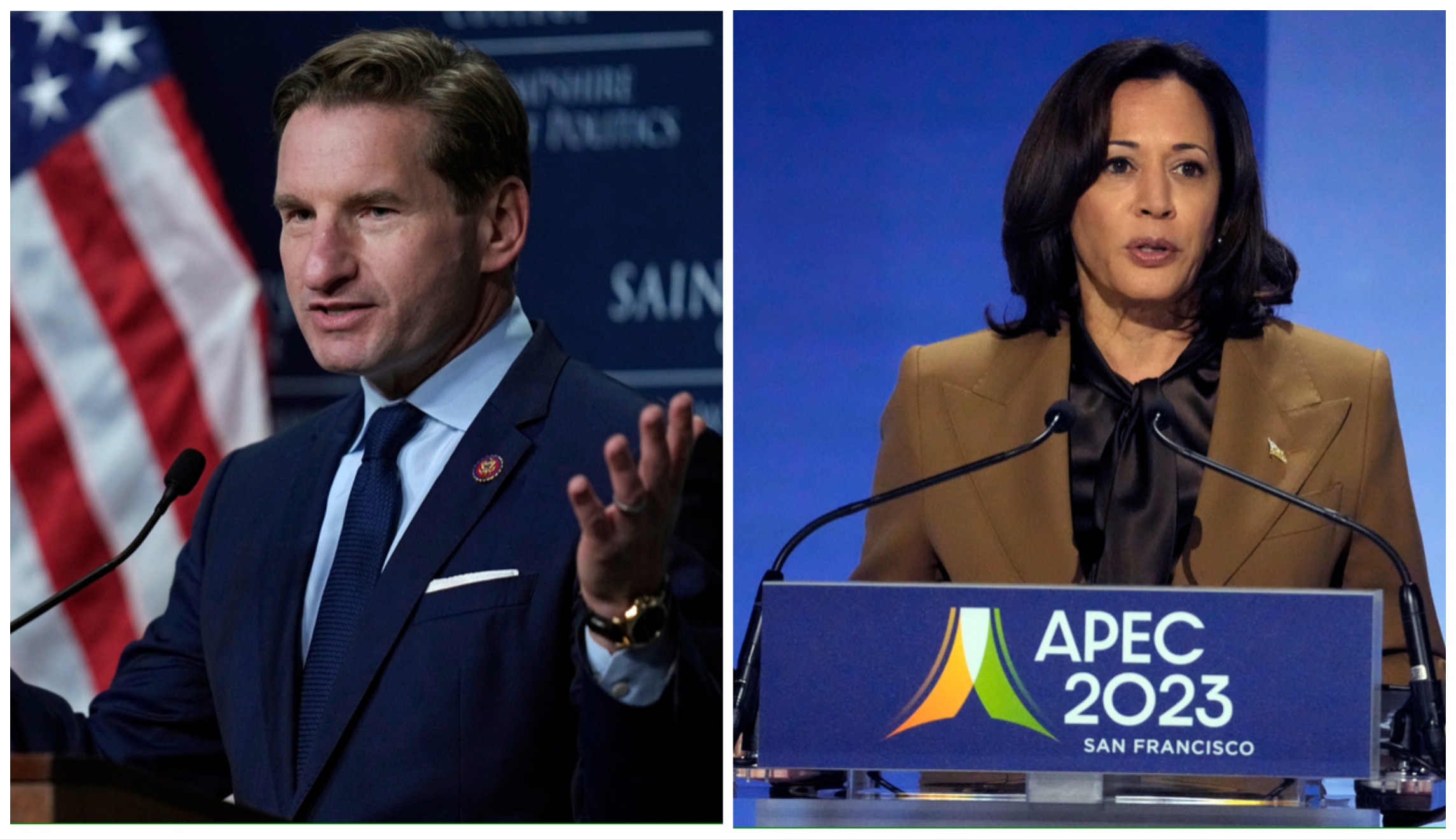 Biden challenger Dean Phillips trashed by fellow Democrat for criticizing Kamala Harris