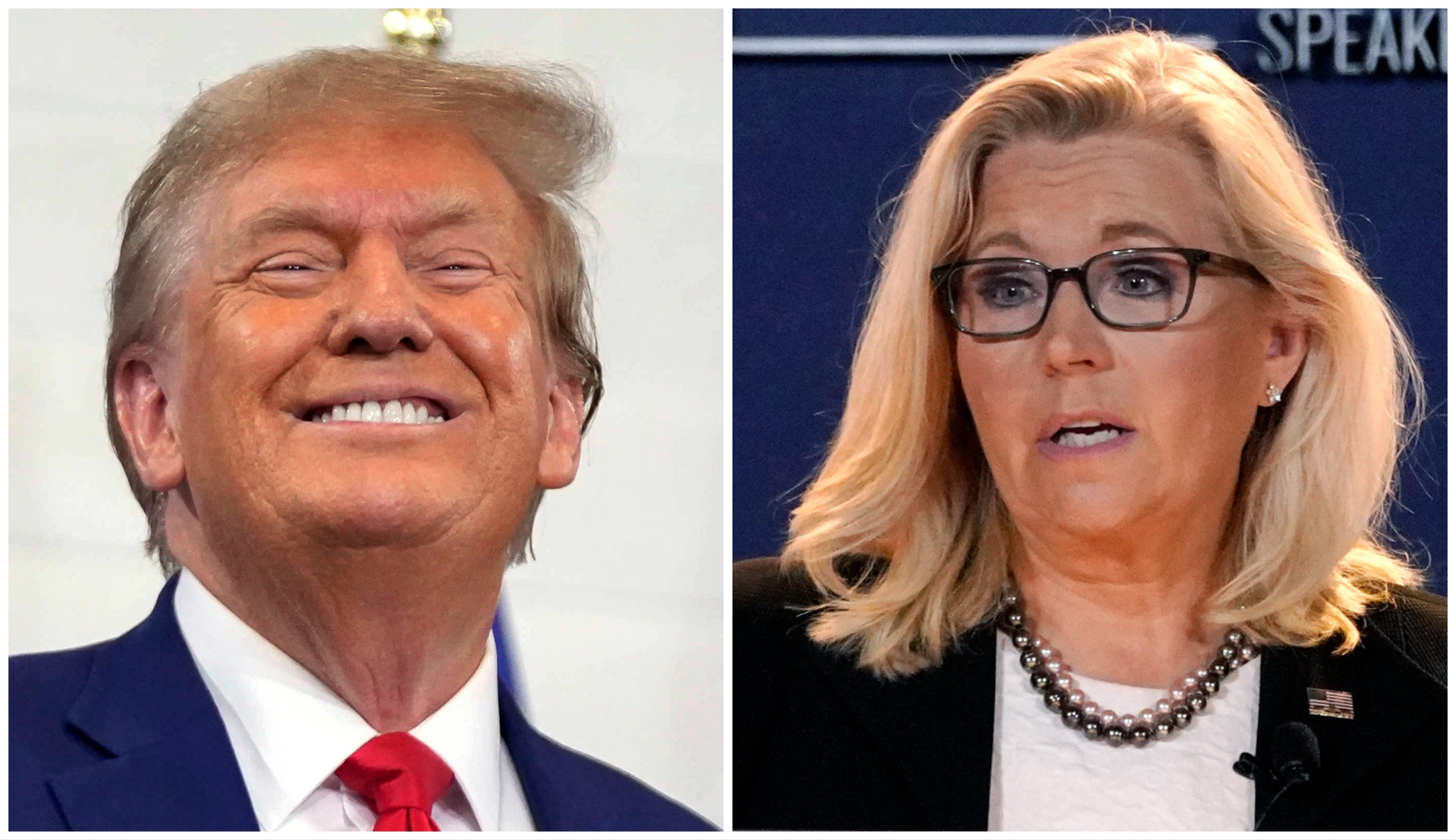 donald-trump-liz-cheney-nov-2023.jpg