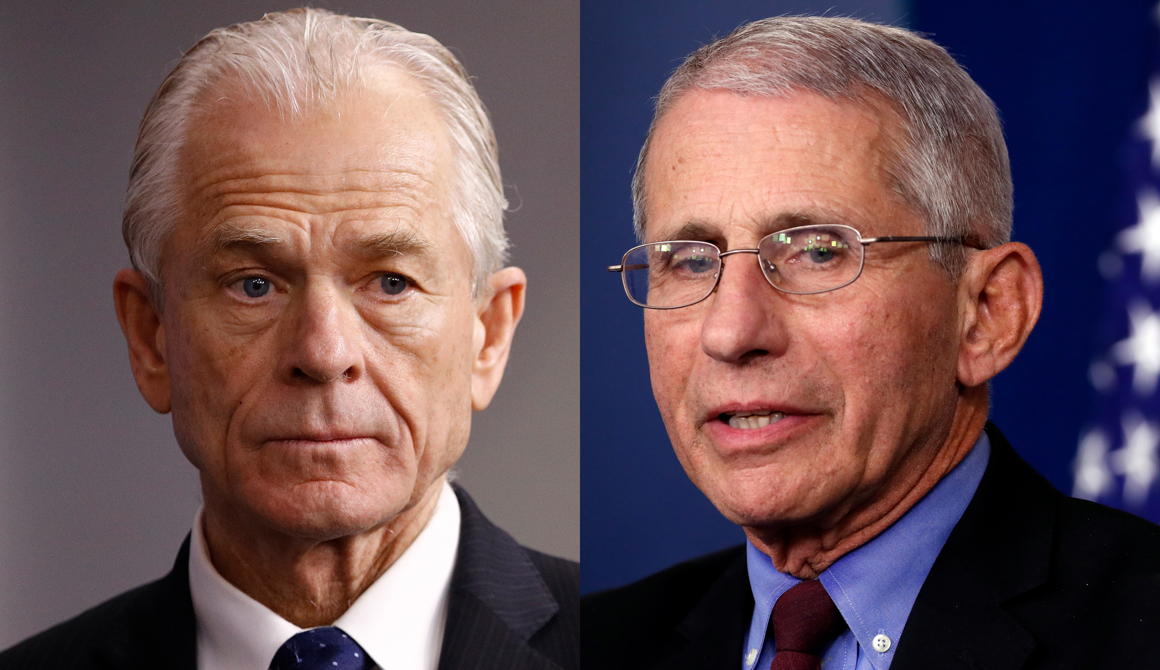 Fauci and Navarro get into ‘confrontation’ over potential coronavirus treatment: Report