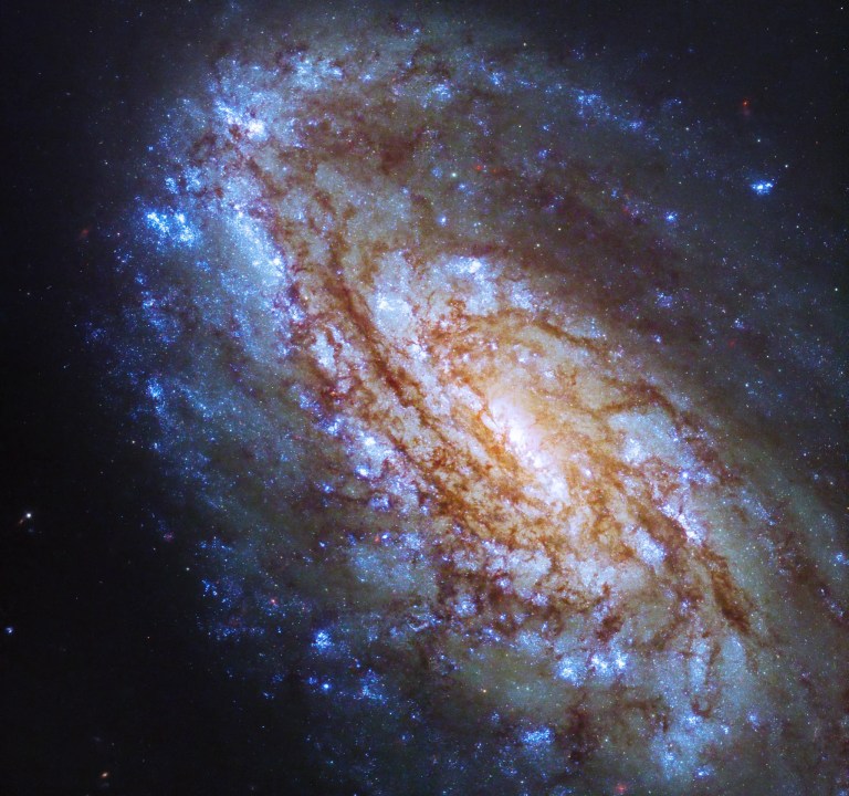An image released from NASA's Hubble telescope on Oct. 2, 2023, of a vibrant virgo cluster galaxy.