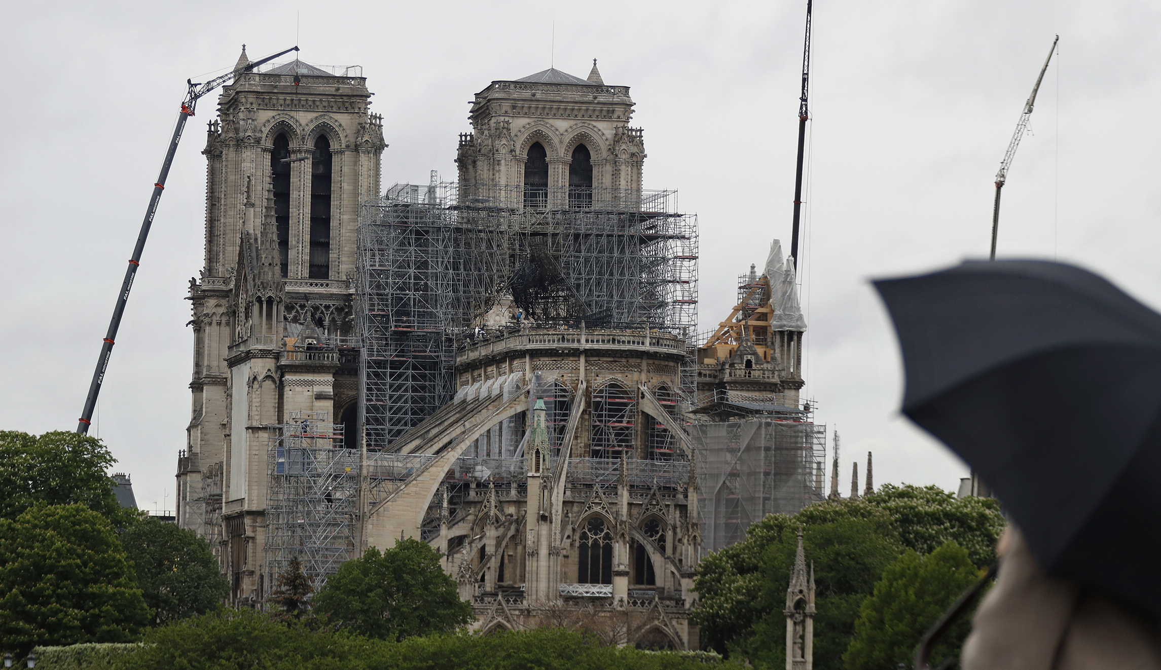 French Senate votes to restore Notre Dame to its original state
