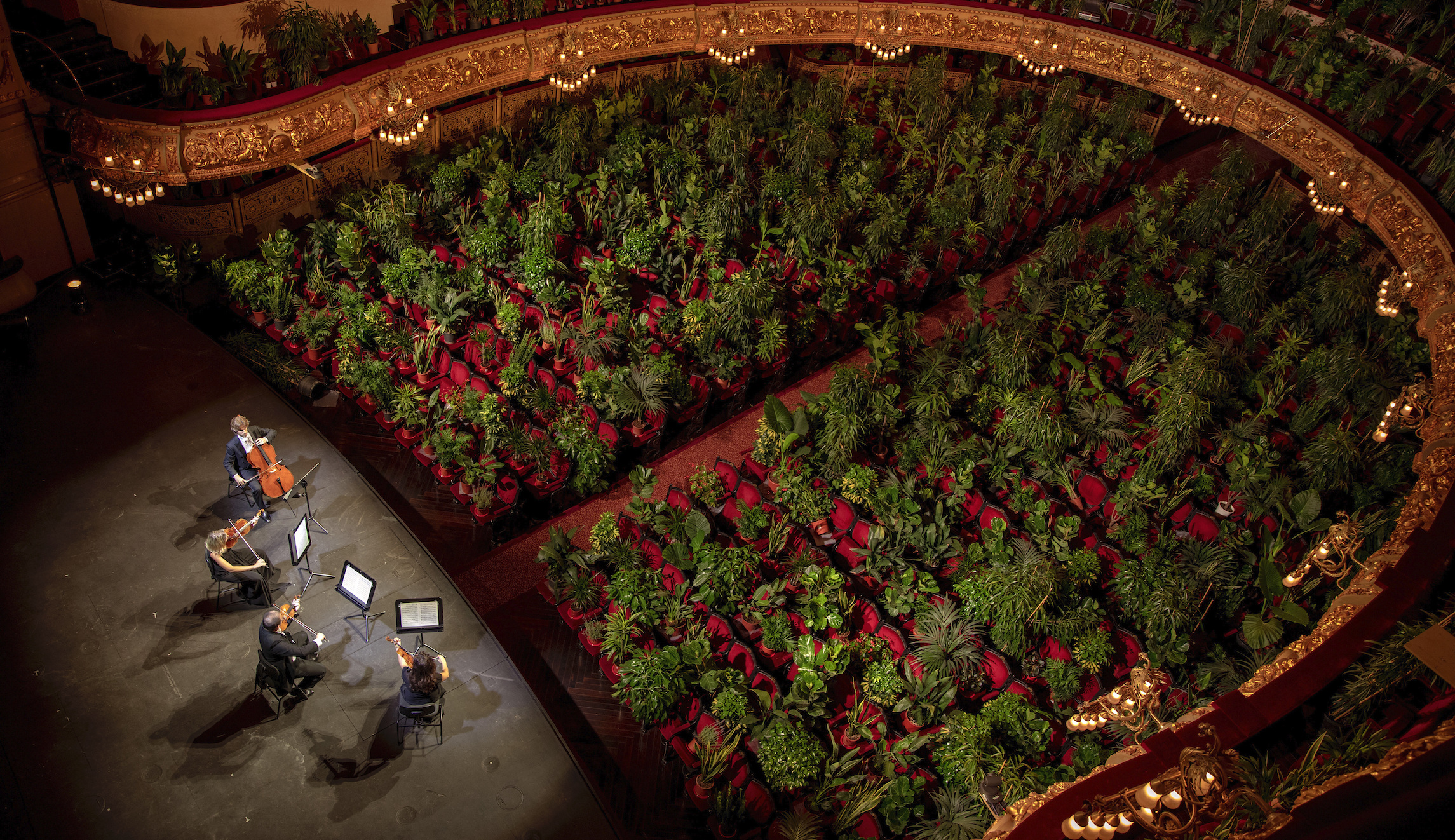 Opera house performs first concert since coronavirus lockdown to thousands of plants