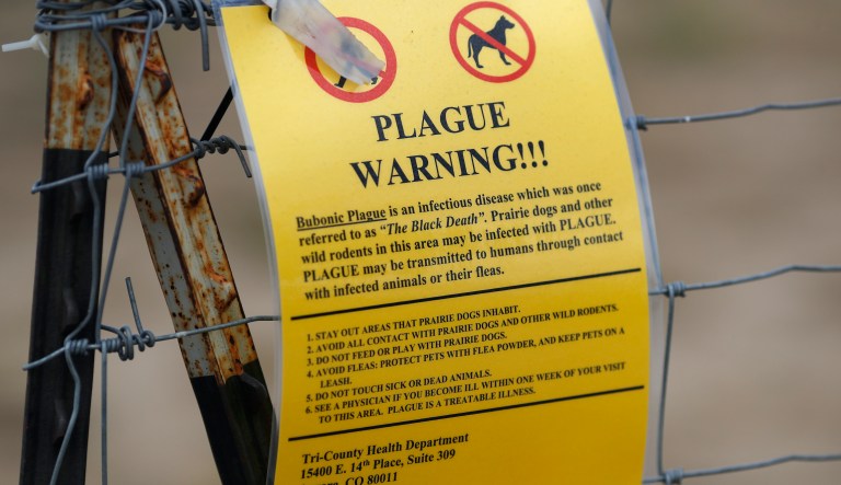 Closed sign marks a parking lot near the Rocky Mountain Arsenal Wildlife Refuge in Commerce City, Colo. Bubonic plague among the prairie dogs has forced officials to close the wildlife refuge, which was carved out of a weapons manufacturing site.