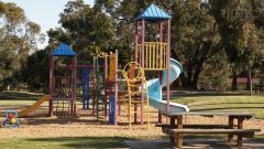 Pediatricians just declared recess a health necessity. States should treat it that way