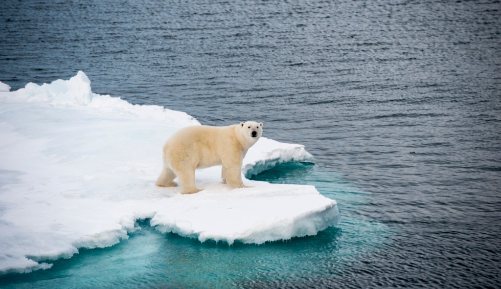 Greenpeace co-founder joins climate change skeptics