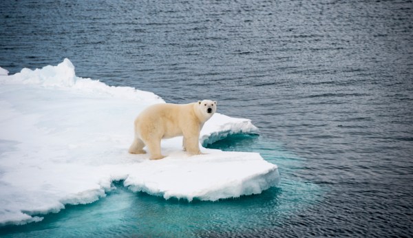 Greenpeace co-founder joins climate change skeptics
