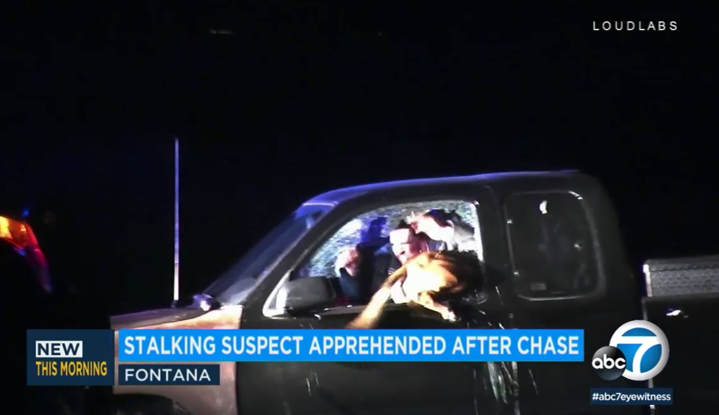‘Awesome display of athleticism’: K-9 breaks through car window to take down suspect (VIDEO)
