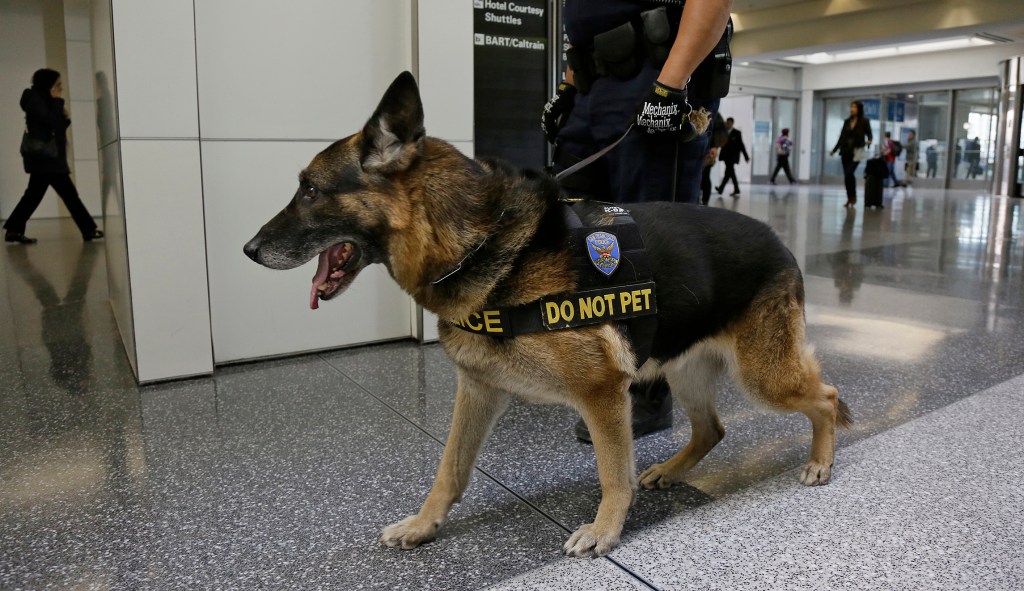 British man bites police dog