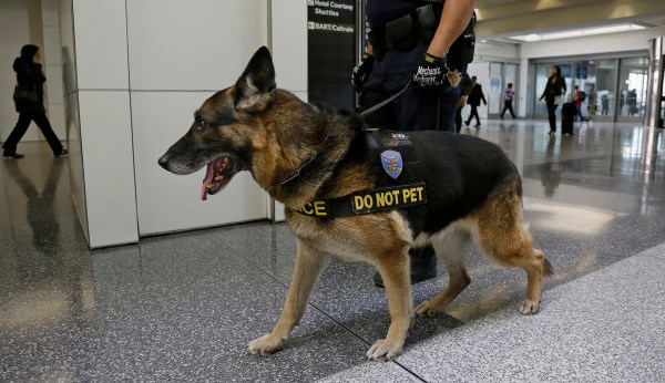 British man bites police dog