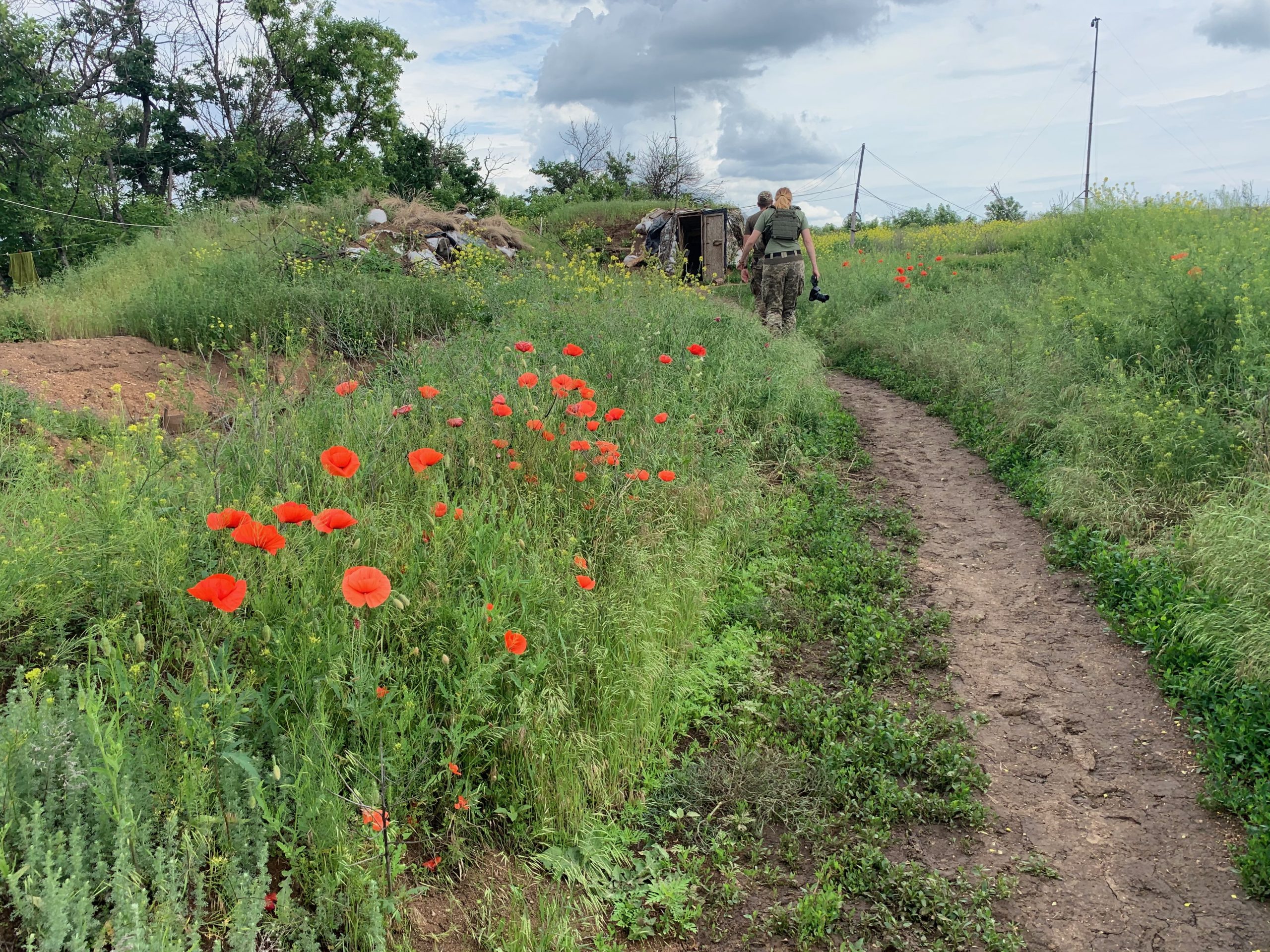 poppies on frontline position in eastern Ukraine.JPG