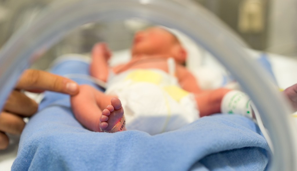 Anti-abortion advocates see promise in artificial womb technology