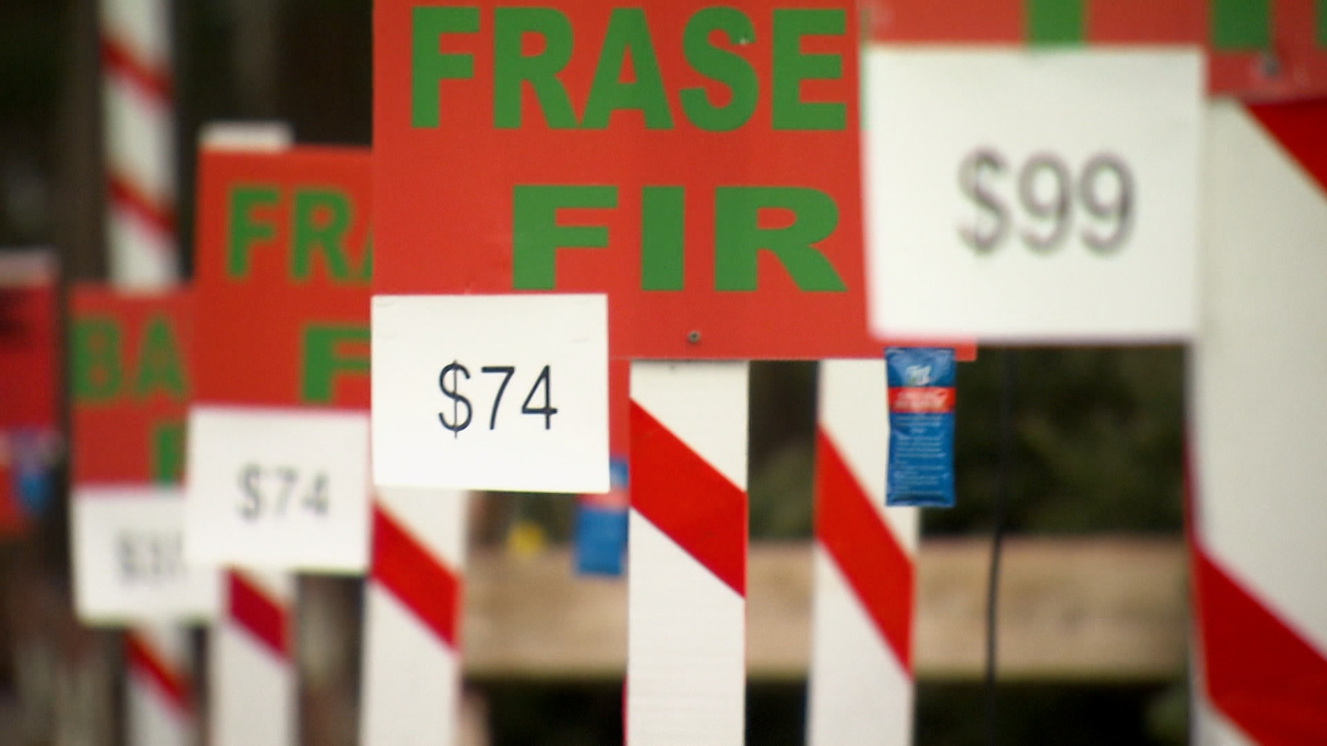 Prices.jpg