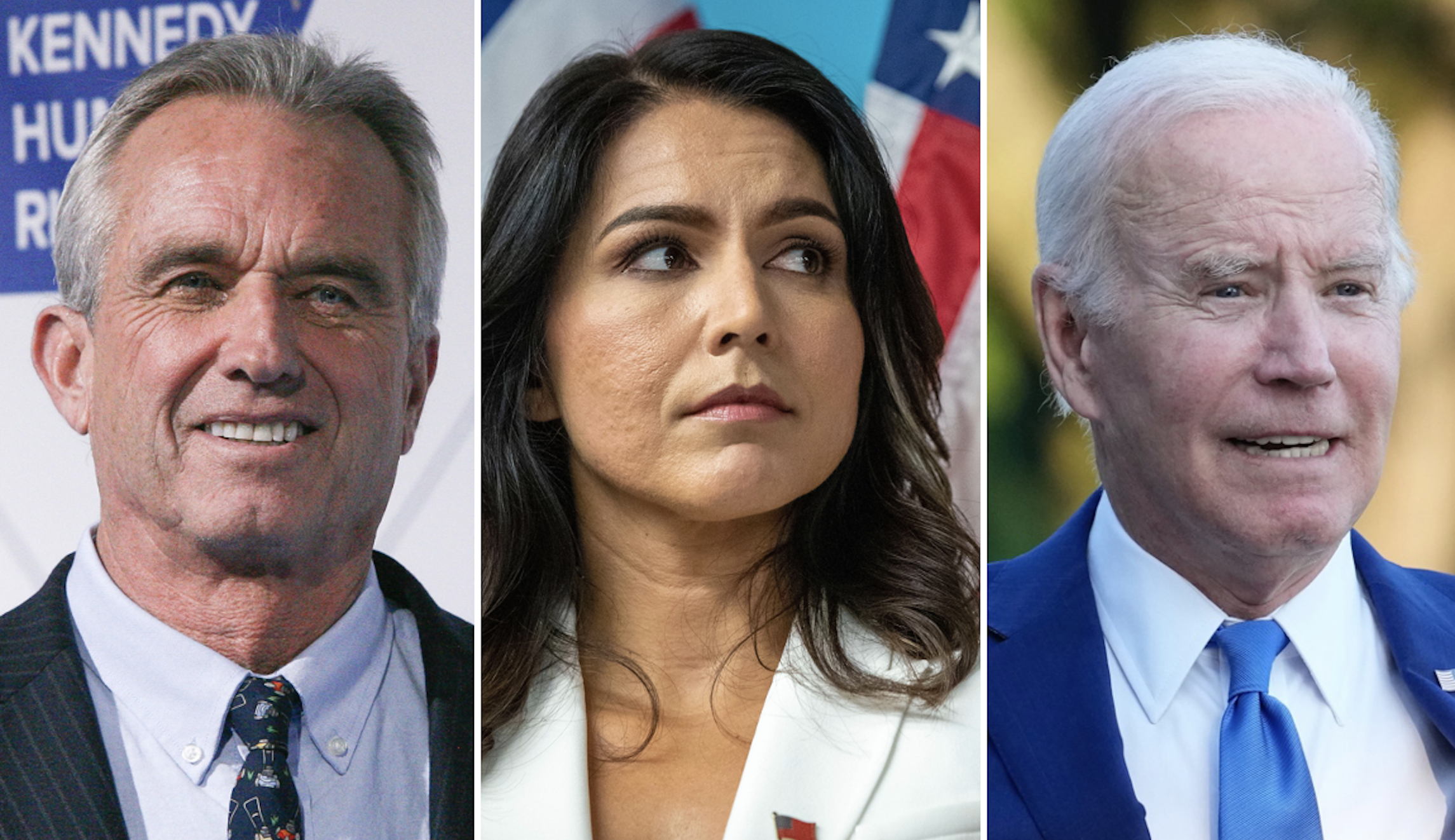 Gabbard says Democrats’ plan is to ‘smear and discredit’ RFK Jr. until voters dismiss him